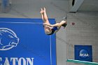 Swim vs Bentley  Wheaton College Swimming & Diving vs Bentley University. - Photo by Keith Nordstrom : Wheaton, Swimming & Diving